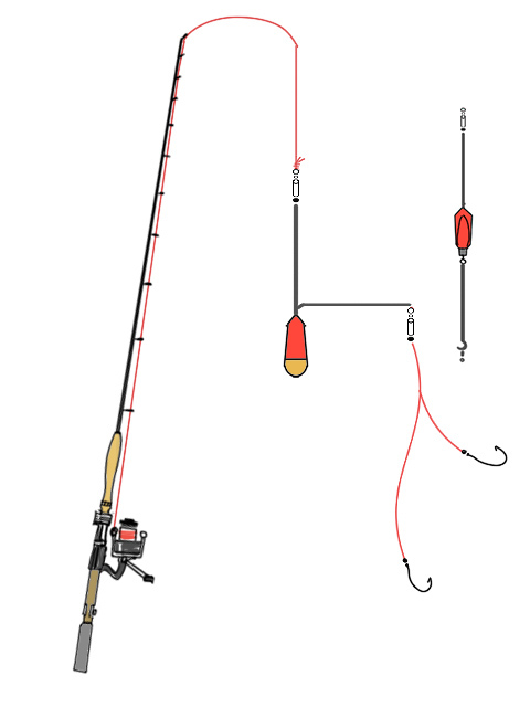 ちょい投げ釣りイラスト